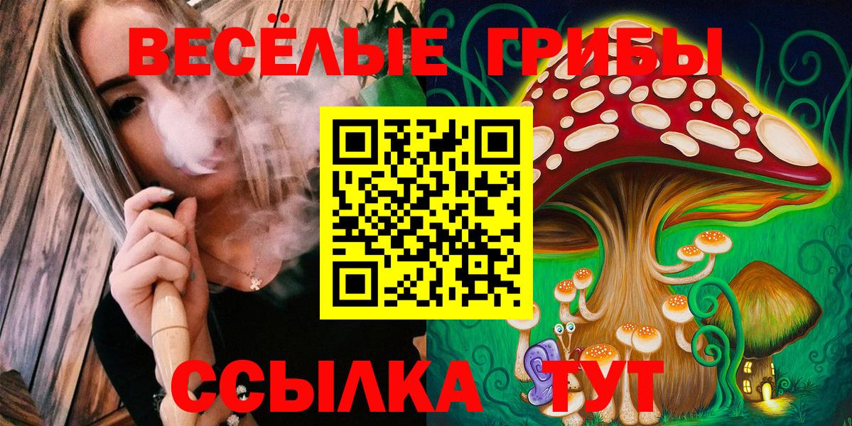 Галлюциногенные грибы Cubensis Кемерово